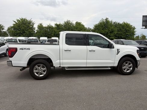 Used 2025 Ford F150 XLT w/ Equipment Group 301A Standard AWD/4WD image 6