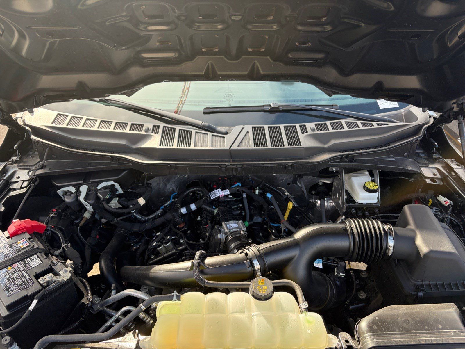 Used 2026 Ford F150 XLT w/ XLT Black Appearance Package RWD image 24