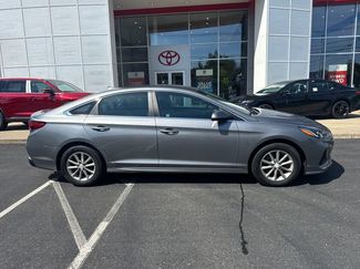 Used 2019 Hyundai Sonata SE w/ Cargo Package FWD video 2
