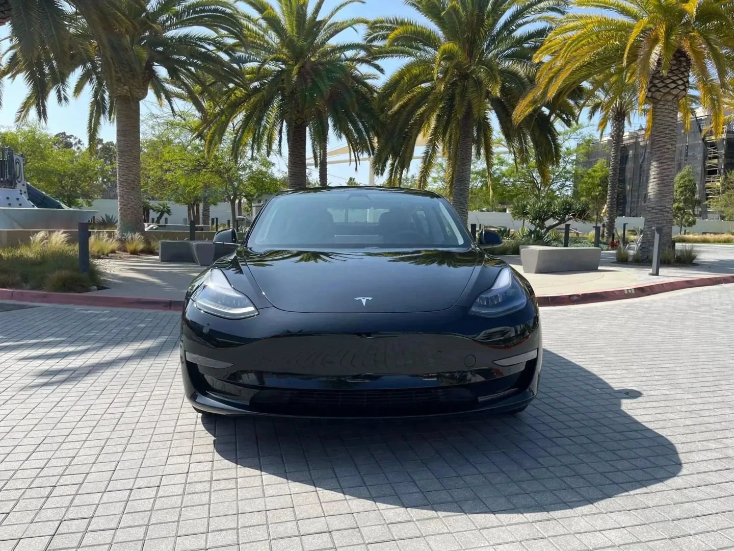 Used 2023 Tesla Model 3 Standard Range RWD image 4