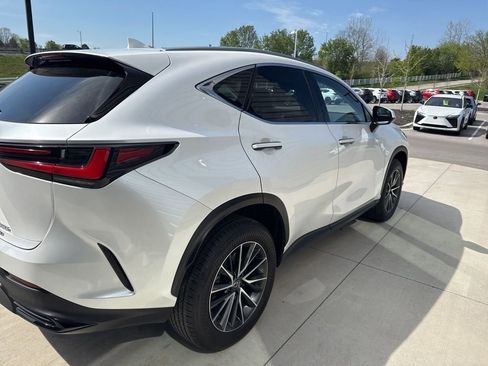 Certified 2024 Lexus NX 350h AWD w/ Cold Area Package image 4