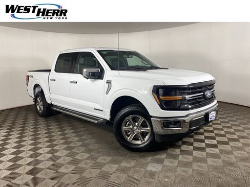 Used 2025 Ford F150 XLT w/ Equipment Group 302A MID image 1