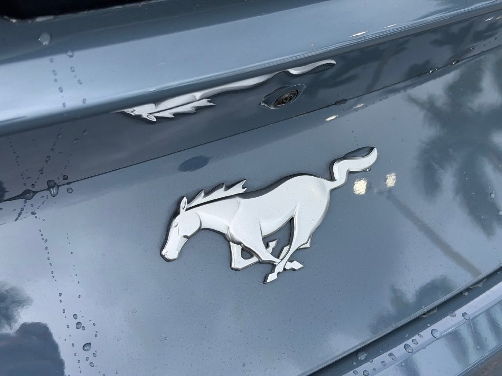 Used 2025 Ford Mustang Premium RWD image 13