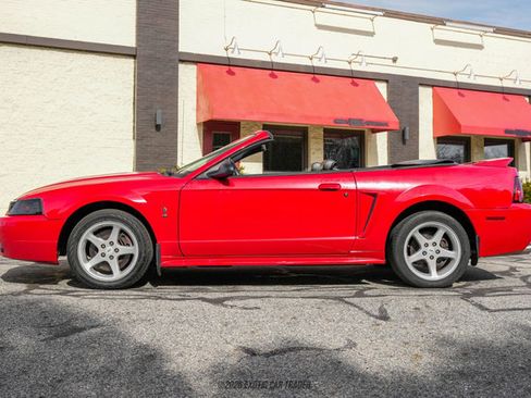 Used 1999 Ford Mustang Cobra RWD image 3