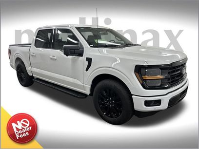 New 2025 Ford F150 XLT w/ Equipment Group 302A MID