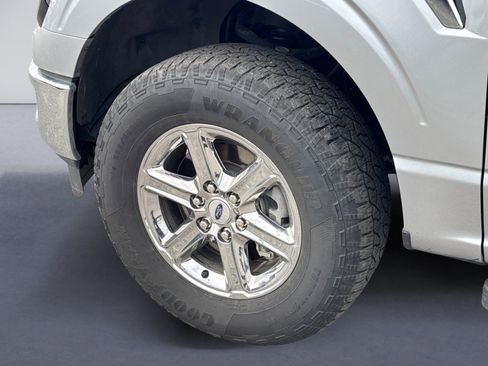 Used 2025 Ford F150 XLT w/ Equipment Group 301A Standard AWD/4WD image 13