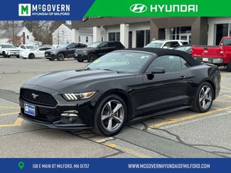 Used 2016 Ford Mustang V6 w/ Equipment Group 051A video 1