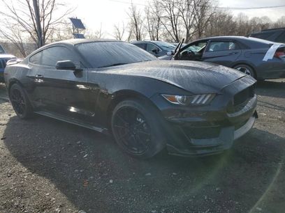 Used 2019 Ford Mustang Shelby GT350 w/ Technology Package