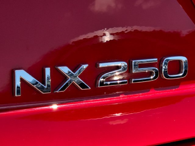 Certified 2024 Lexus NX 250 FWD w/ Cold Area Package image 9