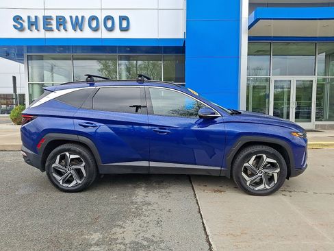 Used 2023 Hyundai Tucson Limited image 7