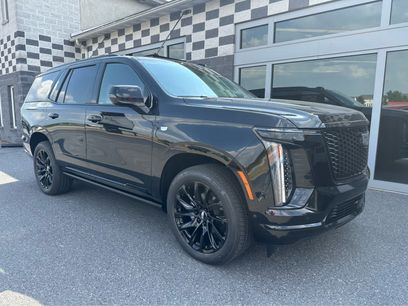 Used 2026 Cadillac Escalade Platinum Sport w/ LPO, ONYX Package