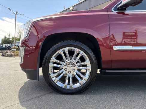 Used 2017 Cadillac Escalade ESV Premium Luxury w/ LPO, Radiant Package AWD/4WD image 1