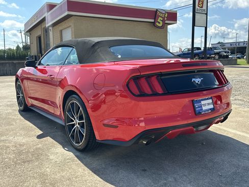 Used 2017 Ford Mustang Premium w/ Wheel & Stripe Package RWD image 8