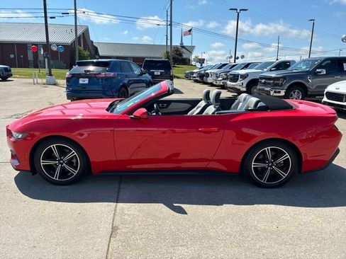 Used 2024 Ford Mustang Premium RWD image 4