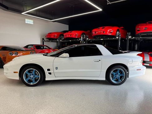 Used 1999 Pontiac Firebird Formula RWD image 3
