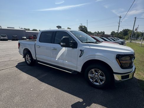 Used 2025 Ford F150 XLT w/ Equipment Group 301A Standard RWD image 4