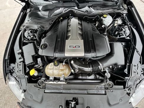 Used 2019 Ford Mustang GT w/ Equipment Group 301A RWD image 27
