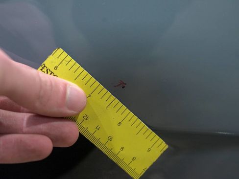 Used 2010 Ferrari California image 38