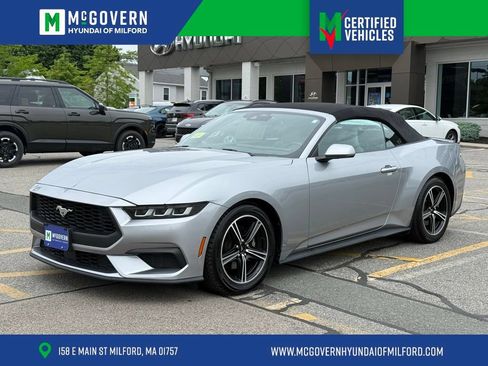 Used 2024 Ford Mustang Premium RWD image 1