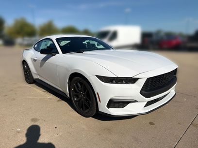 New 2026 Ford Mustang Coupe w/ Mustang Nite Pony Package