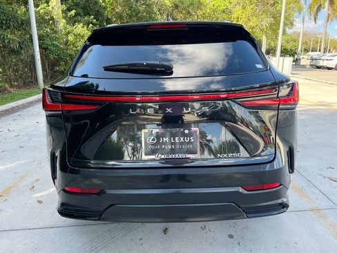 Certified 2024 Lexus NX 250 FWD w/ Cold Area Package image 6