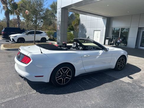 Used 2018 Ford Mustang Premium w/ Equipment Group 201A image 14