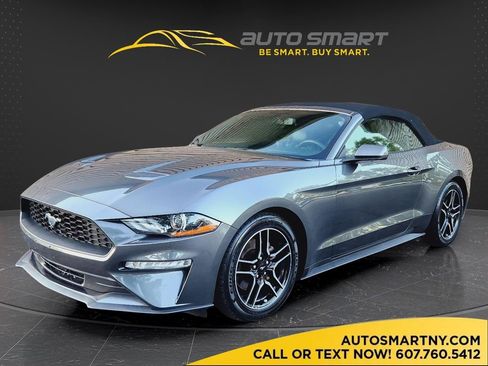 Used 2019 Ford Mustang Premium RWD image 1