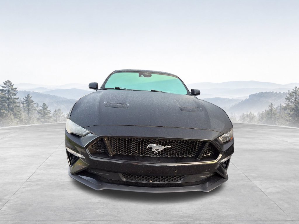 Used 2022 Ford Mustang GT Premium w/ Equipment Group 401A RWD image 14