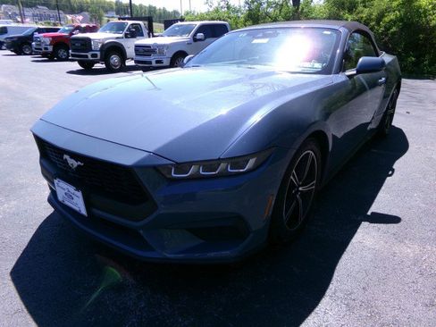 Used 2024 Ford Mustang Premium RWD image 5