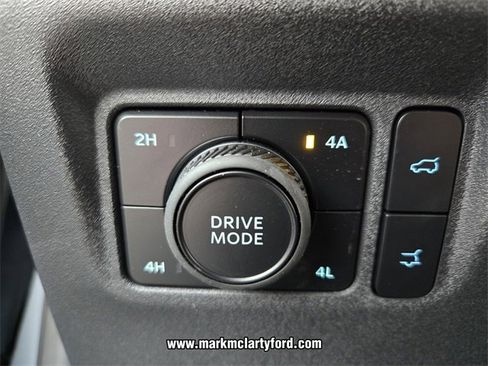 New 2025 Ford Expedition Platinum w/ Stealth Performance Package image 22