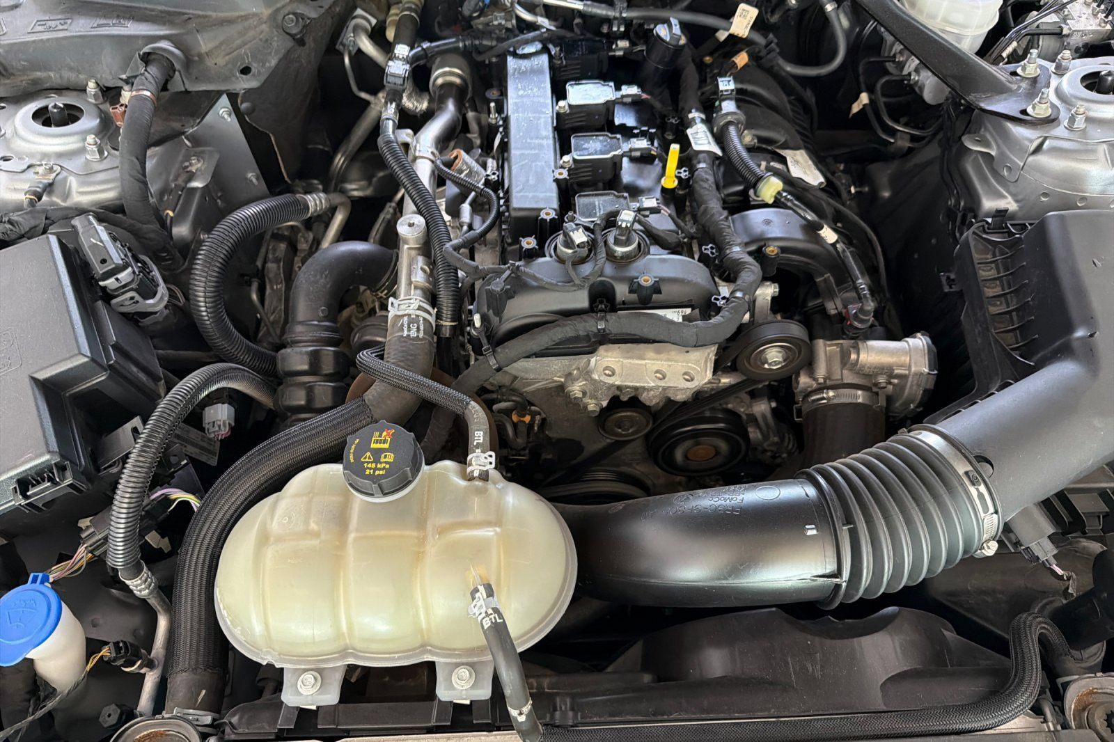 Used 2023 Ford Mustang Premium RWD image 45