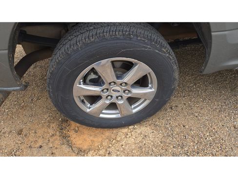 Used 2019 Ford F150 XLT w/ Equipment Group 302A Luxury RWD image 5