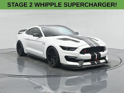 Used 2019 Ford Mustang Shelby GT350R w/ GT350R Equipment Group 920A