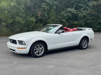 Used 2005 Ford Mustang Premium image 1