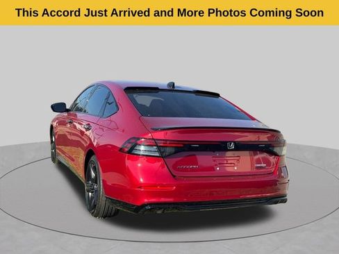 Used 2025 Honda Accord Sport image 4