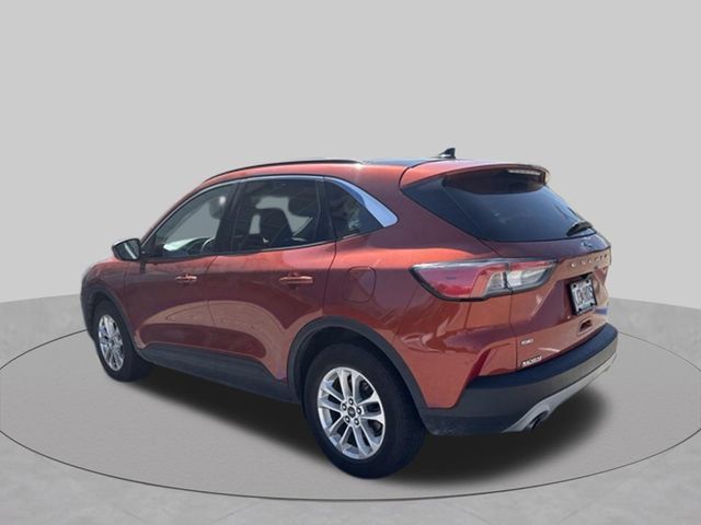 Used 2020 Ford Escape SE AWD/4WD image 4
