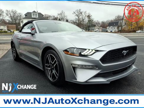 Used 2023 Ford Mustang Premium image 1
