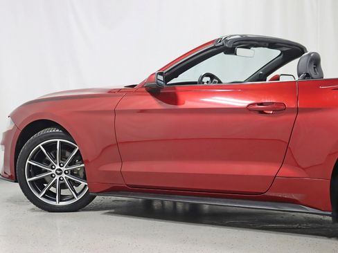 Used 2019 Ford Mustang Premium w/ Equipment Group 201A image 12