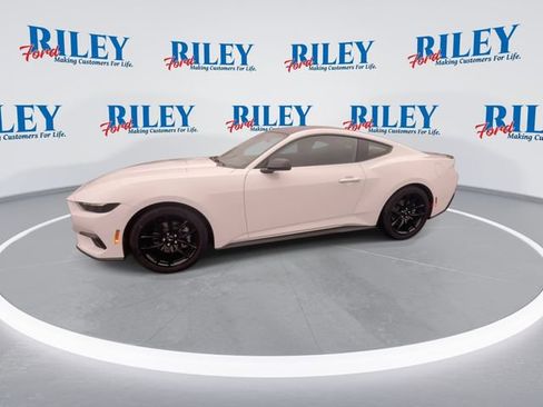 New 2026 Ford Mustang Premium image 5