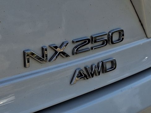 Certified 2024 Lexus NX 250 AWD w/ Cold Area Package image 31