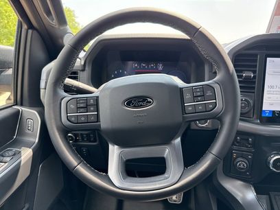 New 2025 Ford F150 XLT w/ Equipment Group 303A High