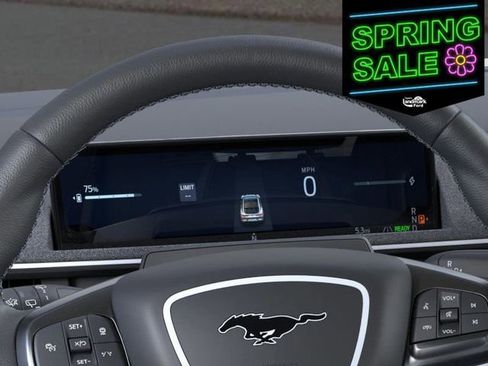 New 2025 Ford Mustang Mach-E GT w/ Interior Protection Package image 13