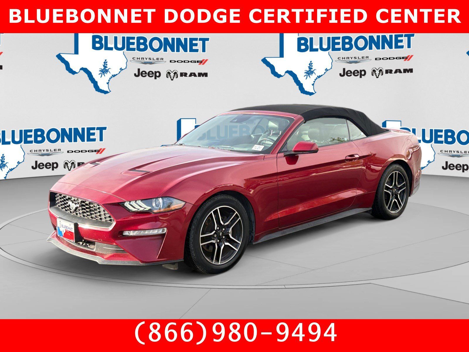 Used 2019 Ford Mustang Premium w/ Ford Safe & Smart Package RWD image 1