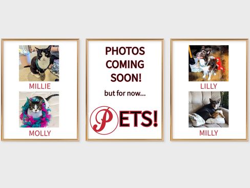 Used 2022 Ford Transit 350 XLT image 9