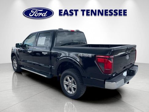 Used 2025 Ford F150 XLT w/ Equipment Group 301A Standard AWD/4WD image 5