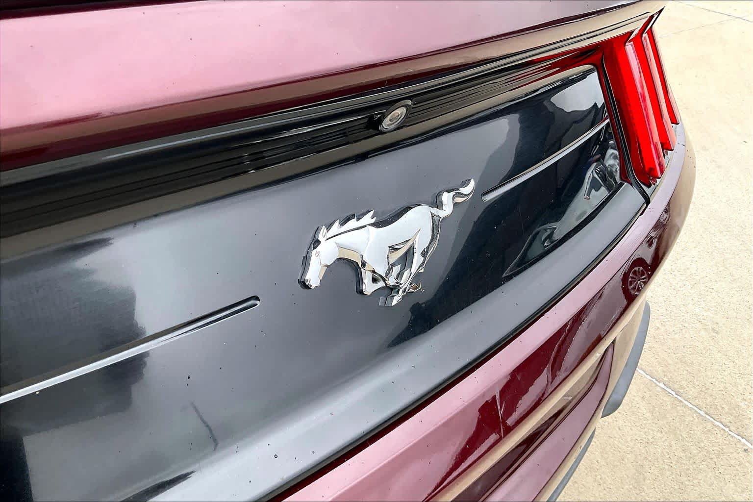 Used 2018 Ford Mustang Premium w/ Equipment Group 201A RWD image 28