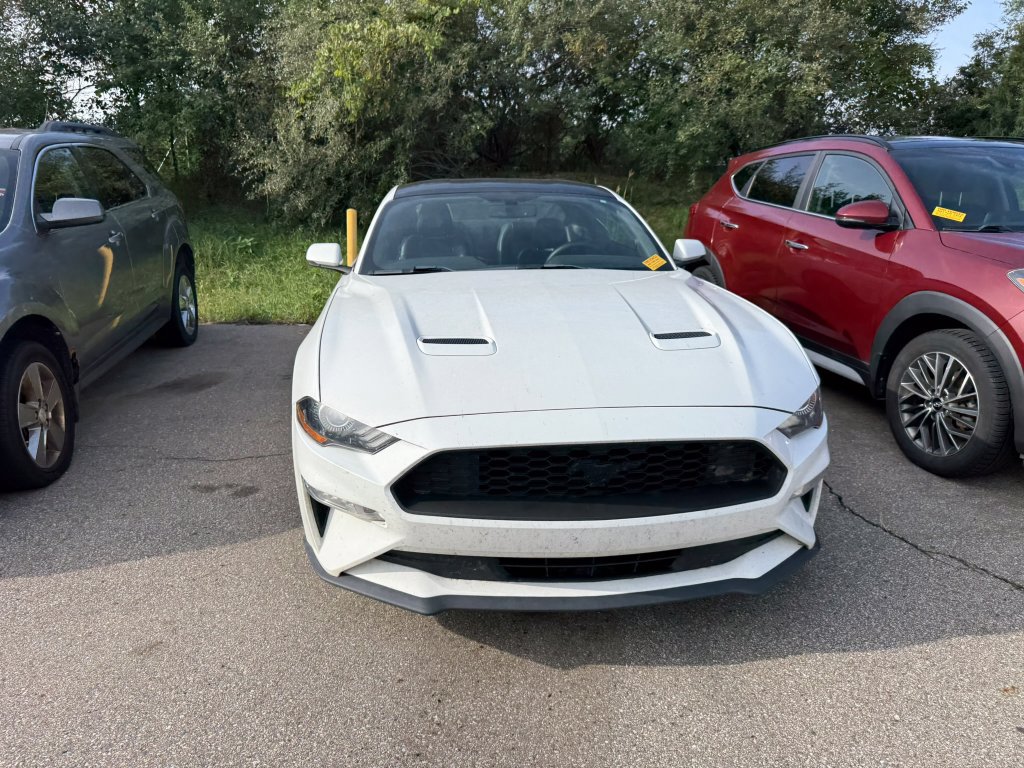Certified 2020 Ford Mustang Premium w/ Equipment Group 201A RWD image 2