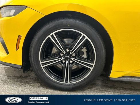 Used 2024 Ford Mustang Premium image 12