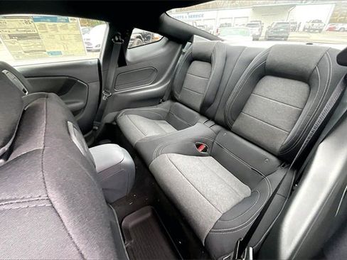 New 2026 Ford Mustang Coupe w/ Mustang Nite Pony Package image 10