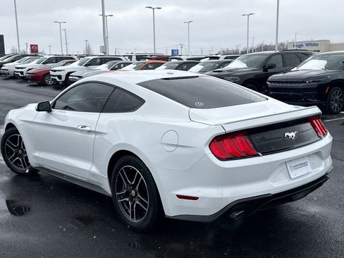 Used 2019 Ford Mustang Premium image 5